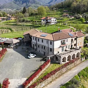 Fermento Affittacamere Mochignano